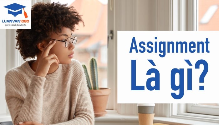 Assignment là gì? Bí quyết để assignment đạt điểm cao