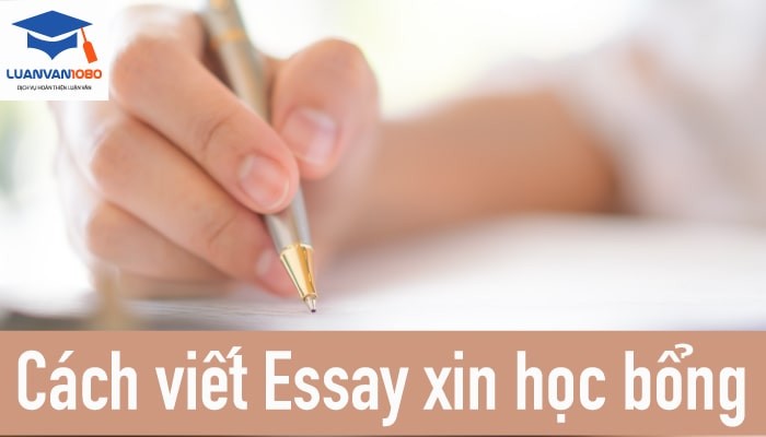 Cách viết essay xin học bổng