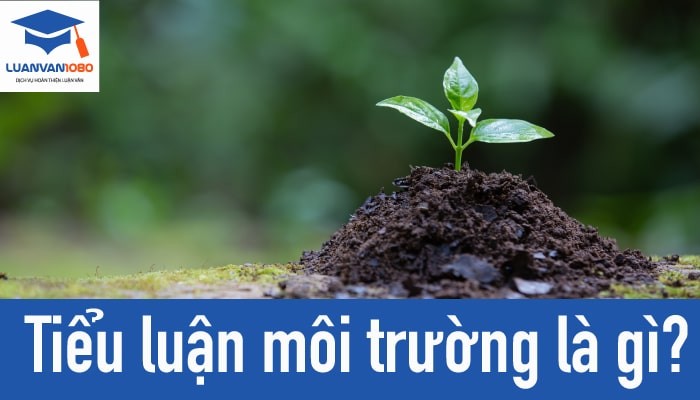 de-tai-bai-tieu-luan-ve-moi-truong-luanvan1080 Tiểu luận môi trường là gì? Ứng dụng cho những ngành học nào?