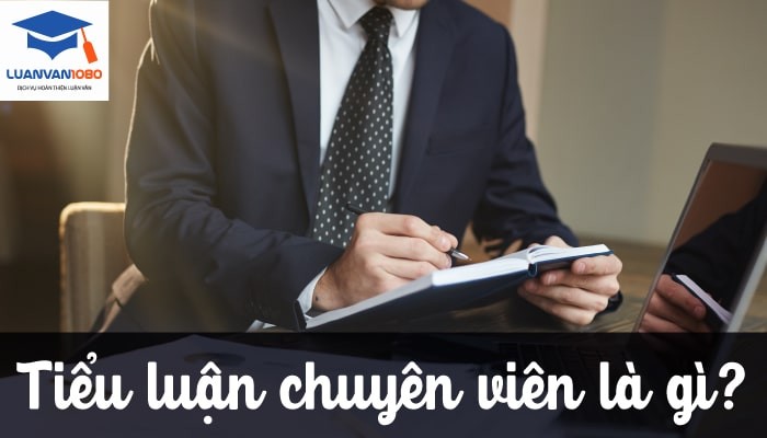 Tiểu luận chuyên viên là gì?