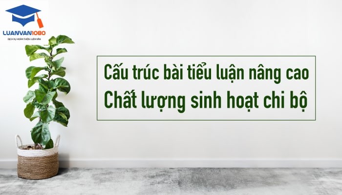 Cấu trúc bài tiểu luận nâng cao chất lượng sinh hoạt chi bộ