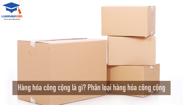 Hàng hóa công cộng là gì? Phân loại hàng hóa công cộng