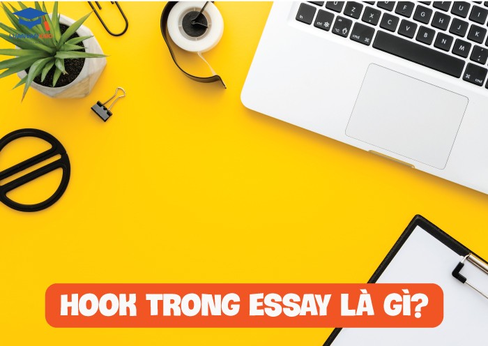 hook-trong-essay-la-gi-1 Câu hook trong essay là gì?