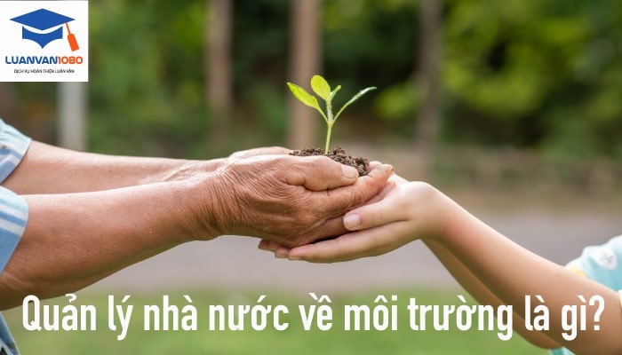 Giải đáp các vấn đề quản lý nhà nước về môi trường là gì?