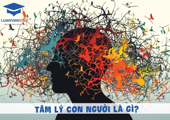 tam-ly-con-nguoi-la-gi Tâm lý con người là gì?
