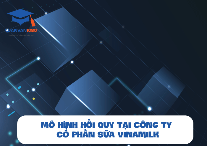 tieu-luan-kinh-te-luong-moi-nhat Tiểu luận kinh tế lượng về mô hình hồi quy