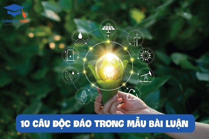 10 câu độc đáo trong mẫu bài luận