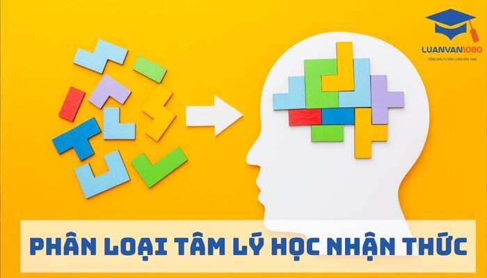 Phân loại tâm lý học nhận thức