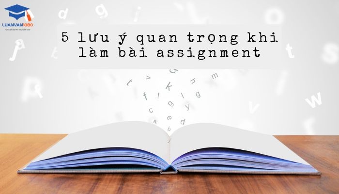 5 lưu ý quan trọng khi làm bài assignment