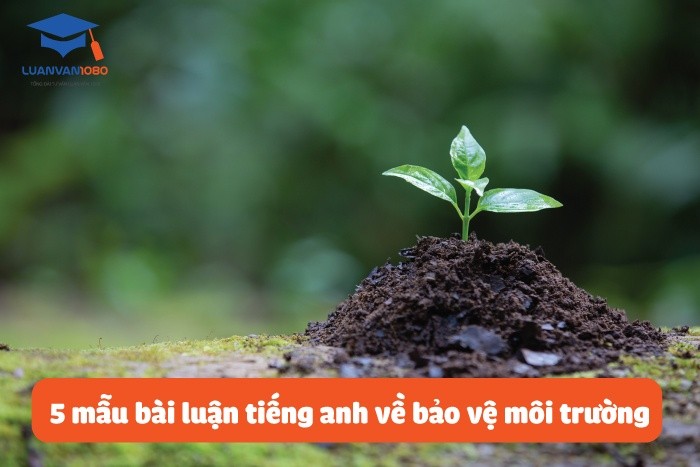 Mẫu bài luận tiếng anh về bảo vệ môi trường