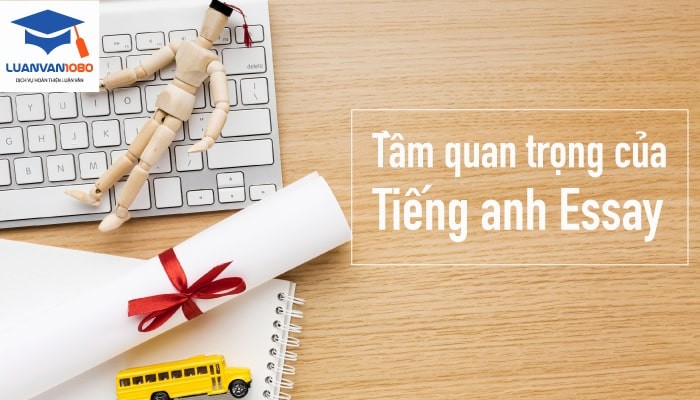 Tầm quan trọng của tiếng anh essay