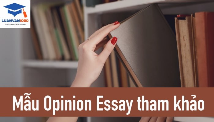 Bài opinion essay mẫu