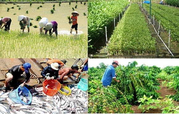  Đặc điểm của sản xuất nông nghiệp