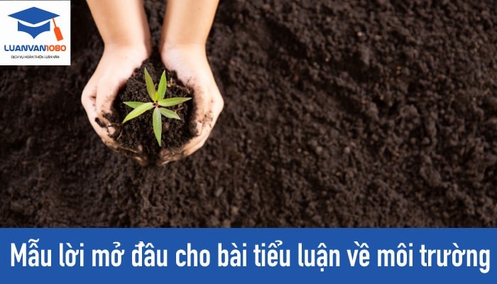 Mẫu lời mở đầu cho bài tiểu luận về môi trường