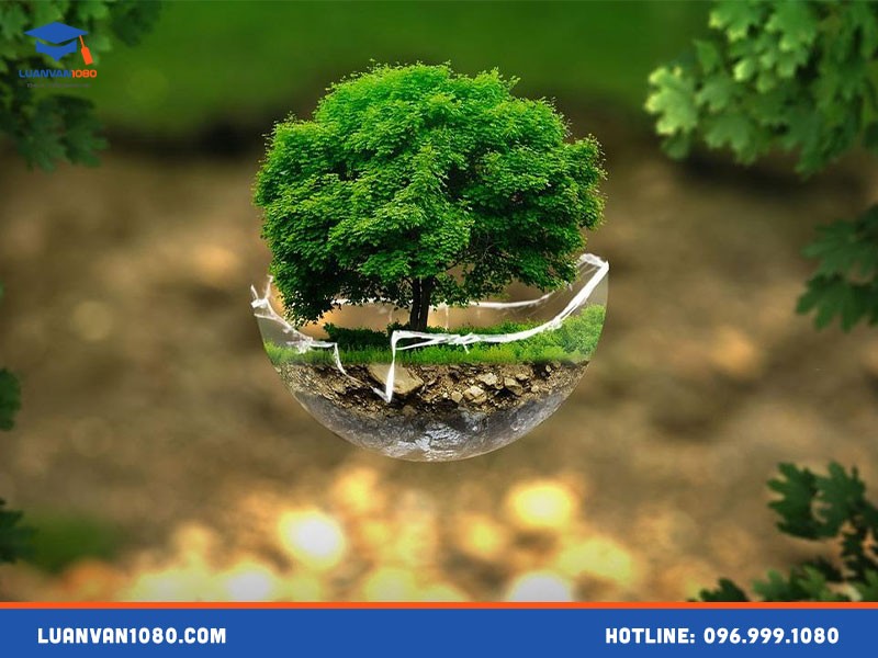 Đề tài luận văn tiếng Anh