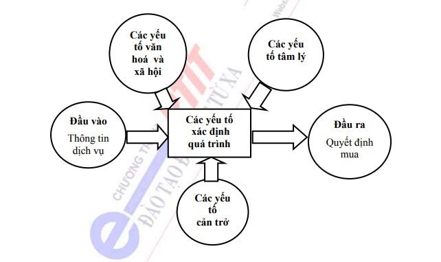 Hành vi mua của cá nhân và của tổ chức