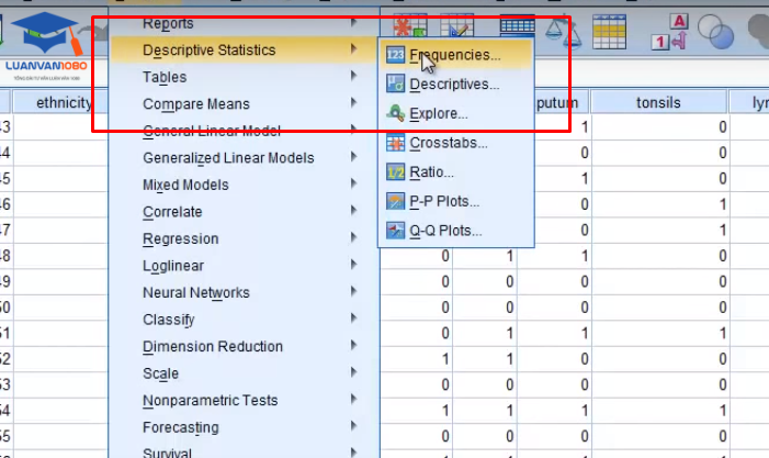 Bước 1. Analyze - Descriptive Statistics - Frequencies