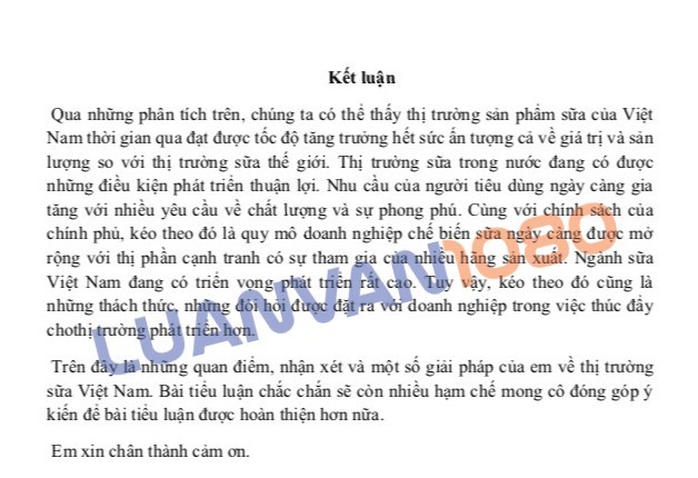 Kết luận tiểu luận mẫu số 4