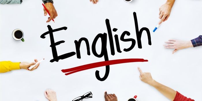 Mẫu bài luận tiếng anh theo chủ đề