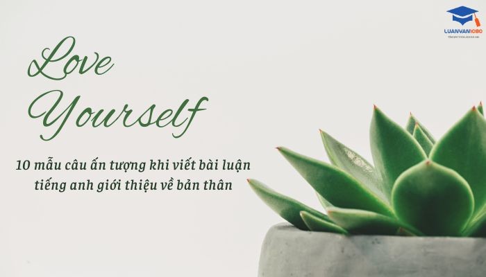 mẫu câu ấn tượng khi viết bài luận