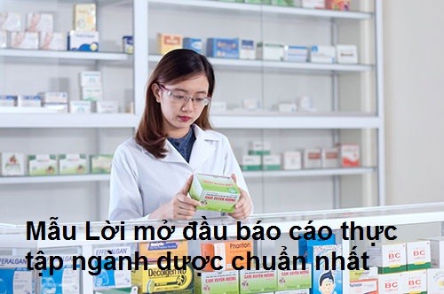 Chia sẻ cách viết báo cáo thực tập chi tiết từ A-Z