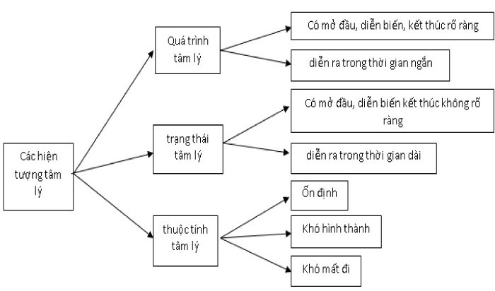Sơ đồ về mối quan hệ giữa các hiện tượng tâm lí học nhận thức