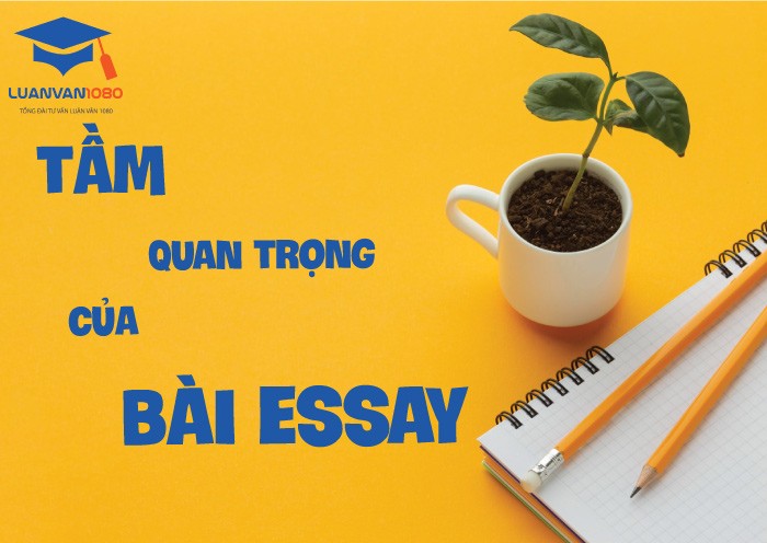 Tại sao bài Essay lại quan trọng đến thế