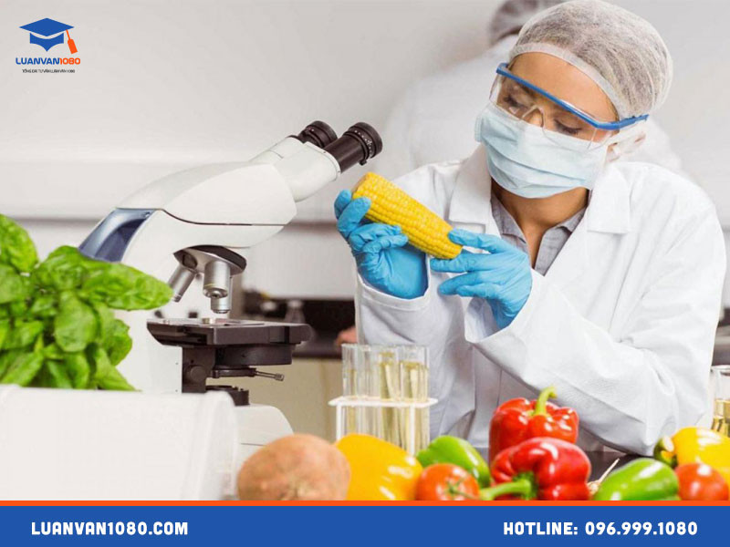 luan-van-tot-nghiep-nganh-cong-nghe-thuc-pham-1 Luận văn tốt nghiệp ngành công nghệ thực phẩm